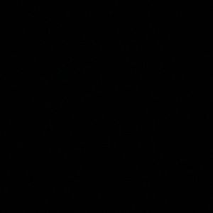 Meet your Posher, Aliyah